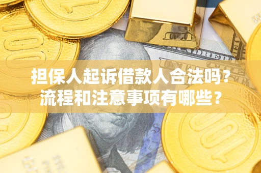 济南担保人起诉借款人合法吗？流程和注意事项有哪些？