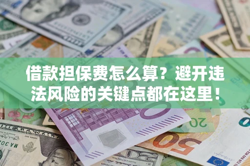 济南借款担保费怎么算？避开违法风险的关键点都在这里！