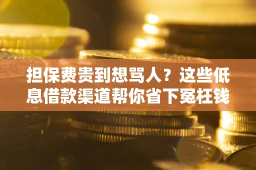 济南担保费贵到想骂人？这些低息借款渠道帮你省下冤枉钱