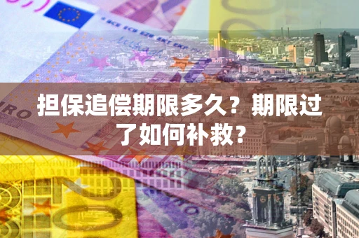 济南担保追偿期限多久？期限过了如何补救？