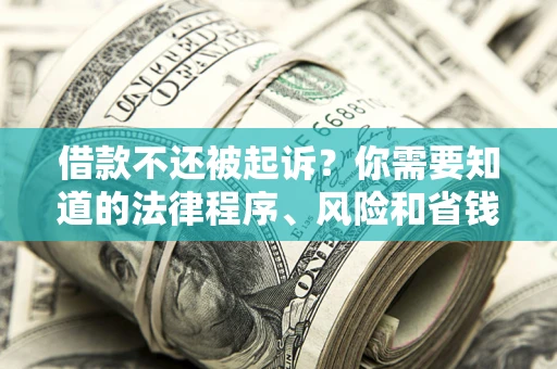 济南借款不还被起诉？你需要知道的法律程序、风险和省钱技巧